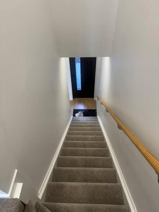 Townhouse In Auckland Central מראה חיצוני תמונה